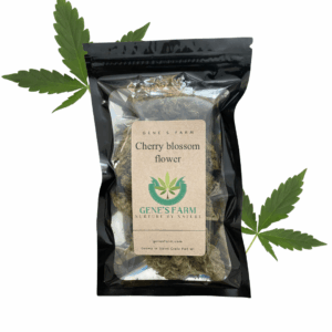 Cherry Blossom Hemp Flower